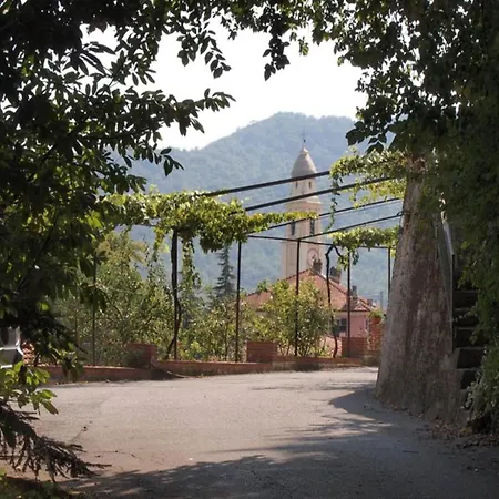 In * Casanova Lerrone